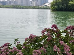 -天鹅湖体育公园