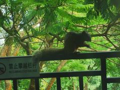 -昆明春城湖畔度假村