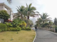 -碧桂园十里银滩