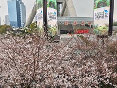 -陆家嘴空中步行连廊