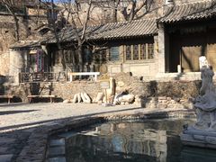 -古北烤梨