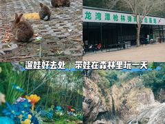 -龙湾潭国家森林公园
