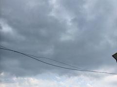 -合肥滨湖国家森林公园