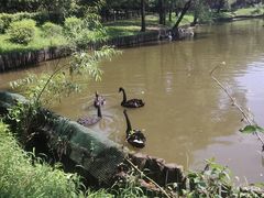 -沈阳森林动物园