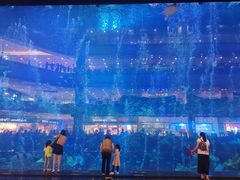 -成都浩海立方海洋公园