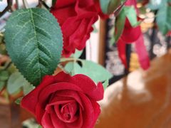 -及咖啡GatherCoffee(华申大厦店)