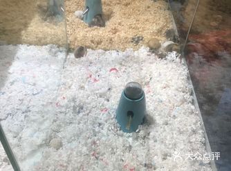 地方非常好找。人气很旺。宠物店的品种很丰富
