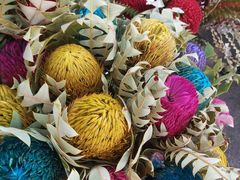 -双季花艺园艺市场(浦东店)
