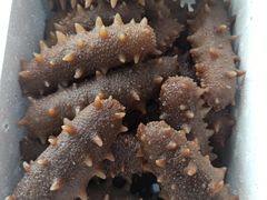 -宫品海参专卖店(黄浦老西门店)