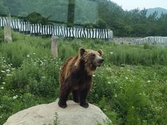 -西安秦岭野生动物园