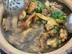 招牌土鸡煲-华仔土鸡店(南洲分店)