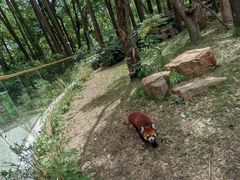 -绿野餐厅(上海动物园店)