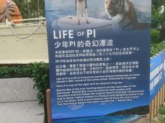 -白沙湾海滩