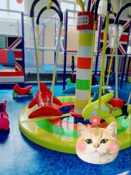 -开心哈乐亲子乐园(东森时尚百货店)