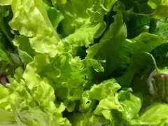 -古乐牛香·鲜牛肉牛杂火锅(新区店)