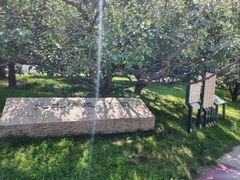 -元大都城垣遗址公园