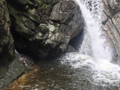 -牛背梁国家森林公园