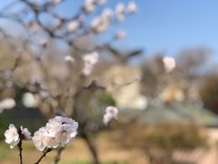 -北京鹫峰国家森林公园