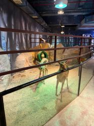 -酷嗒动物文化乐园(cutezoo西溪乐天城店)