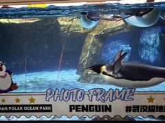 -海合安武汉极地海洋公园