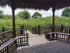 -梁鸿国家湿地公园