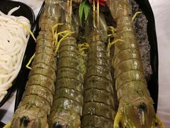 -鲜入围煮花胶鸡海鲜火锅