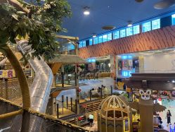 -卡通尼·Safari非洲探索乐园·生日会(金桥国际商业广场店)