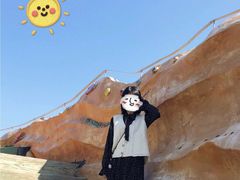 -广东惠东海龟国家级自然保护区