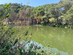 -深圳仙湖植物园