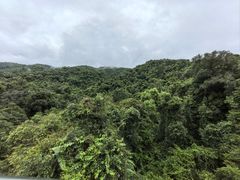 -野象谷景区