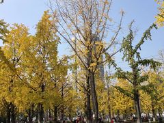 -百林公园-两江幸福广场