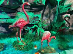 -顺德南宏海立方海洋公园