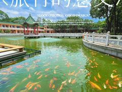 -广东圆玄道观