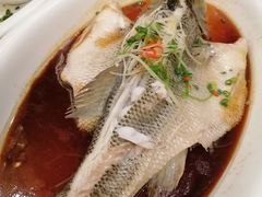 -玉雪春天(中正花园店)