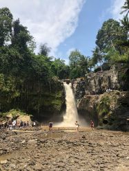 -YOUNGSKIN氧研皮肤管理中心