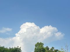 -茅草房·河畔园林火锅