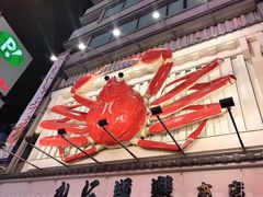 -蟹道乐(道顿堀本店)