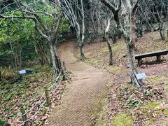-汉拿树木园