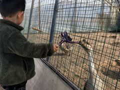 -田趣农庄草莓采摘园