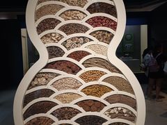 -重庆中国三峡博物馆(重庆博物馆)