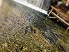 -丽江玉水寨