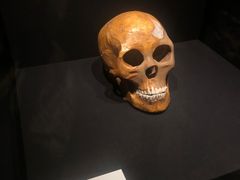 -上海崧泽遗址博物馆