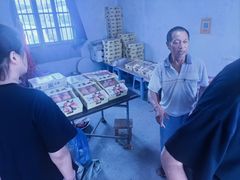 -南汇水蜜桃采摘(大团店)