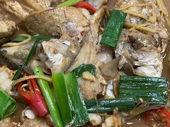 -梅子大排档