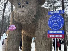 -洛阳白云山景区