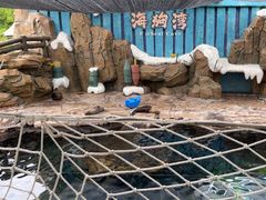 -杭州长乔极地海洋公园