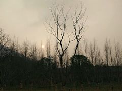 -铜陵市铜官山森林公园