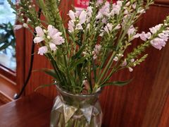 -大理.老字号渝记酸萝卜乌鱼(古城总店)