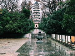 -灵谷景区