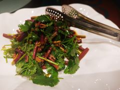 香麻野蕨菜-九十九顶毡房(阜石路店)